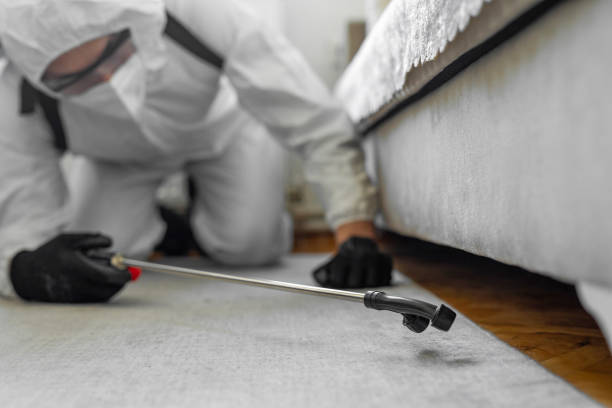 Professional Termite Control technician working in Mendota, IL